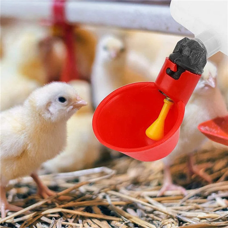 

Chicken Drinking Cup 40 Pieces Automatic Drinker Drinker Red Plastic Duck Bird Quail Pigeon Hen Drinker Bowl
