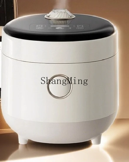 ZYY mini cuociriso piccolo da 1 a 2 persone piccolo cuociriso in acciaio inossidabile 316L