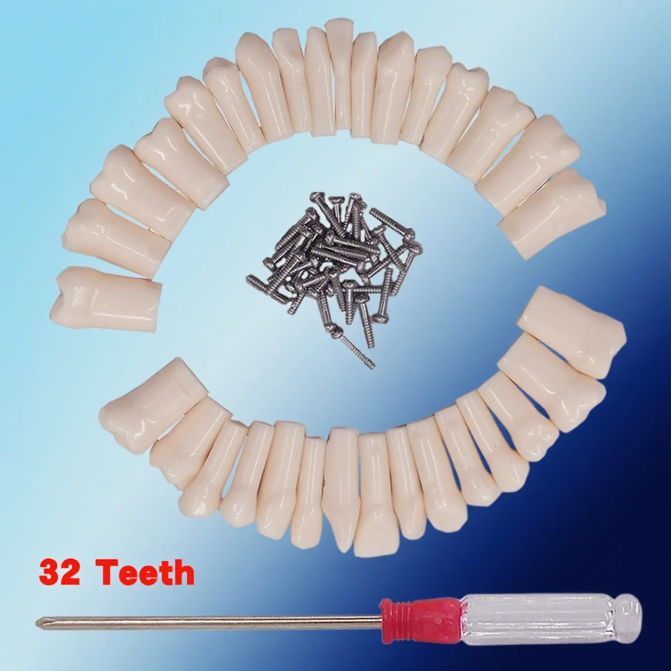 

32 шт., съемные ввинчивающиеся смоляные протезы для практики Typodont, совместимые с моделью зубов NISSIN, аксессуары для стоматолога
