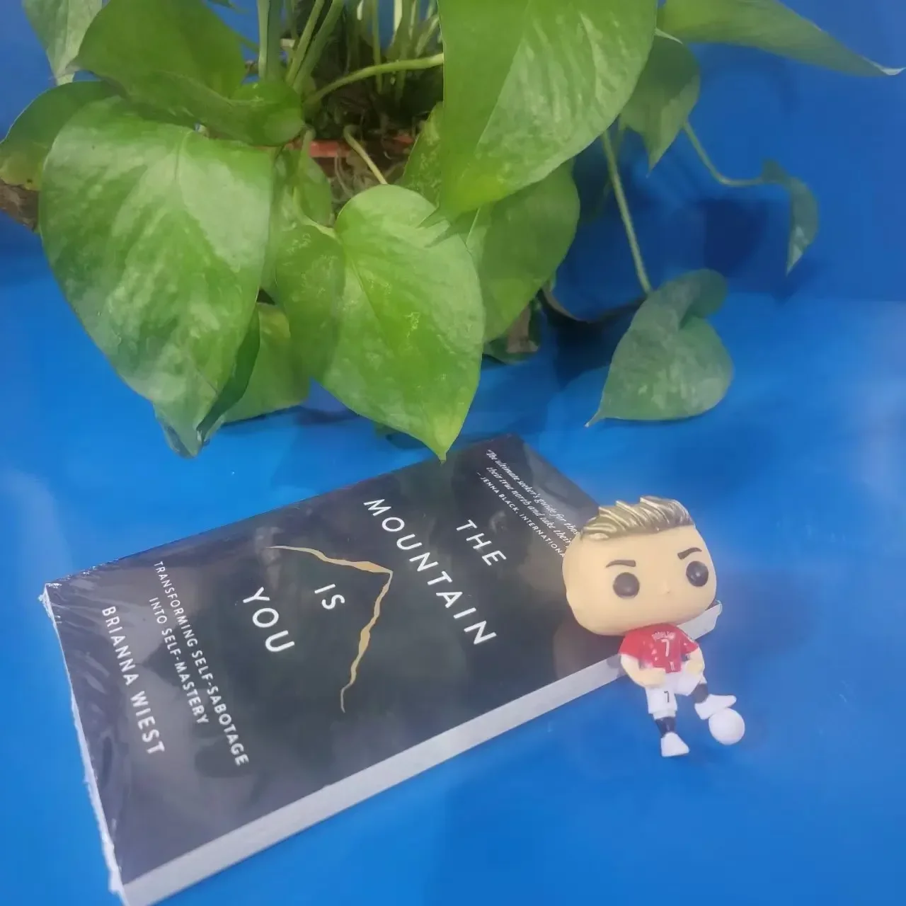 【 In Stock 】 'The Mountain is You': A book that transforms self destruction into proficiency in English, a hot selling book