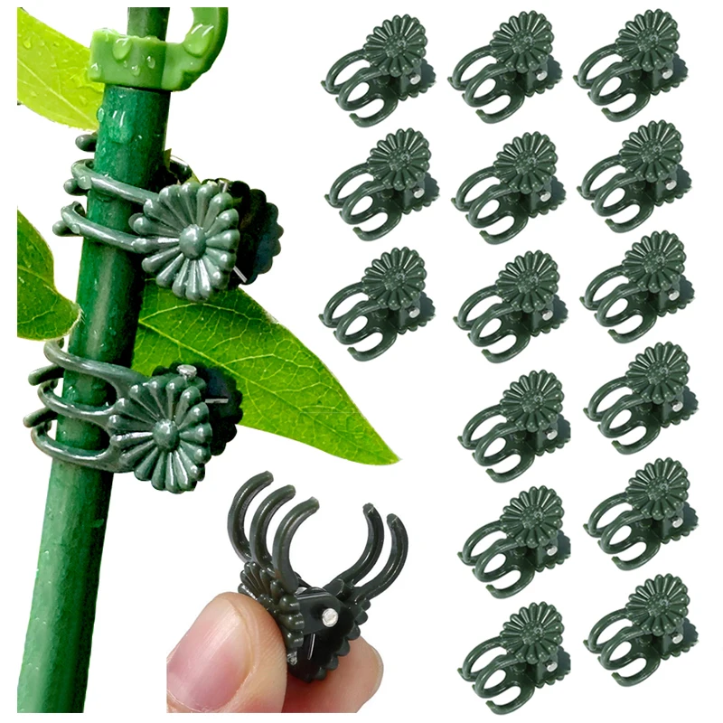 Orchid Stem Clip Plant Support Dark Green Plant Clips Vine Stem Flower Grow Upright Branch Clamp Garden Tool plant clips