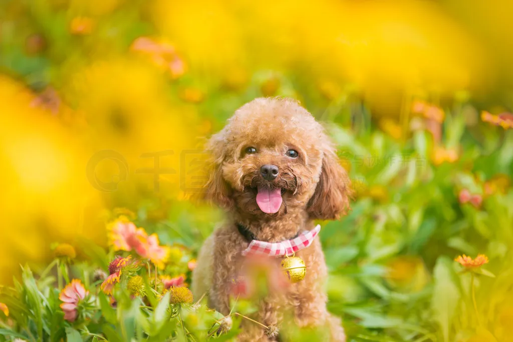 

4PCS RC Rock Crawler Metal Wheel Rim 1.9 Inch BEADLOCK for 1/10 Axial SCX10 90046 TAMIYA CC01 D90 D110 TF2 Trxs TRX-4 S119