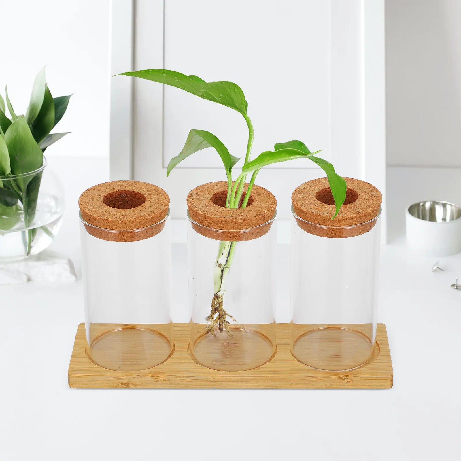 Set of 3 Desktop Glass Plant Propagation Stations Micro Landscape Terrariums for Indoor Hydroponic Plants Elegant Compact