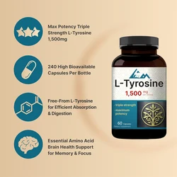 L-tyrosine supplements | Support memory, cognitive health, and psychological alertness - Non genetically modified