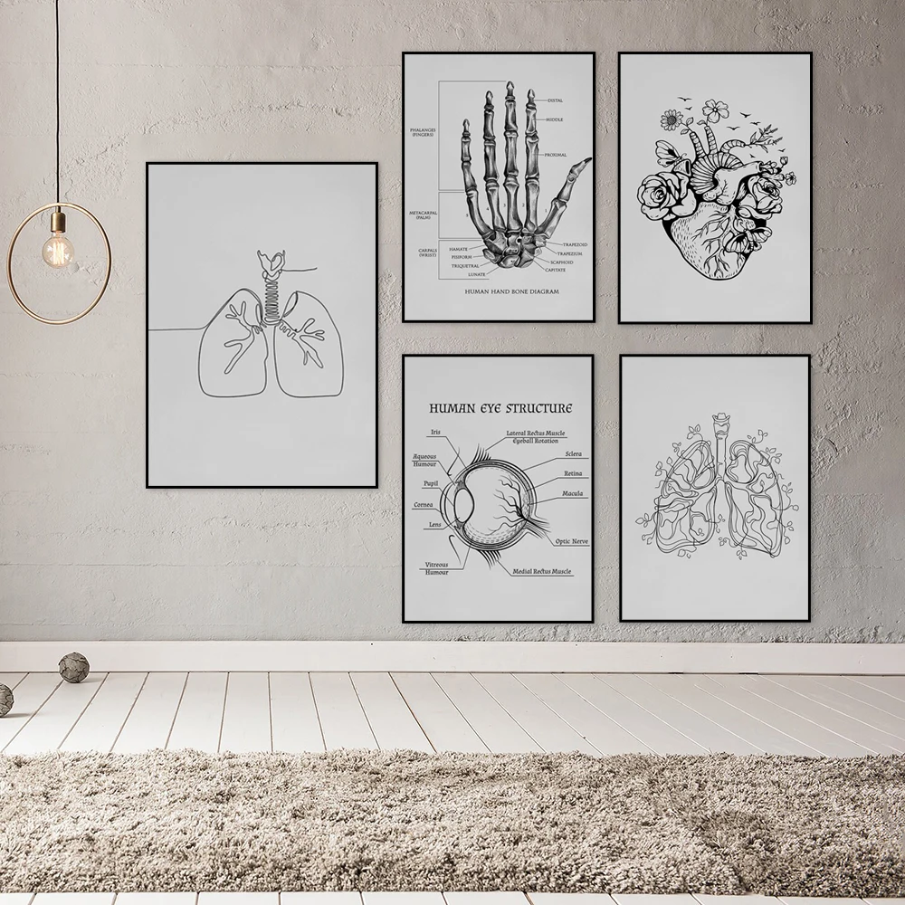 Minimalist Heart ,Lungs,internal organs,Eye Structure ,Human Hand Bone Diagram Line art, Anatomy print,  Biology Printable