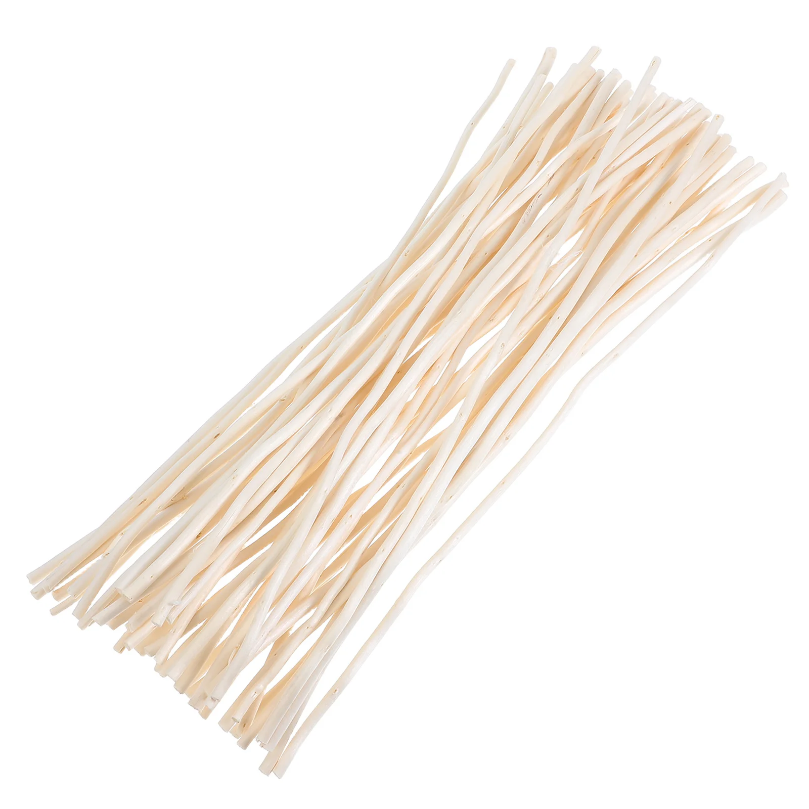 50 قطعة فروع الصفصاف المجففة هيرين زن الغلاف الجوي تنوعا الزخرفية استخدام منخفضة صيانة الجمال زهرية حشو Crafts بها بنفسك الحرف