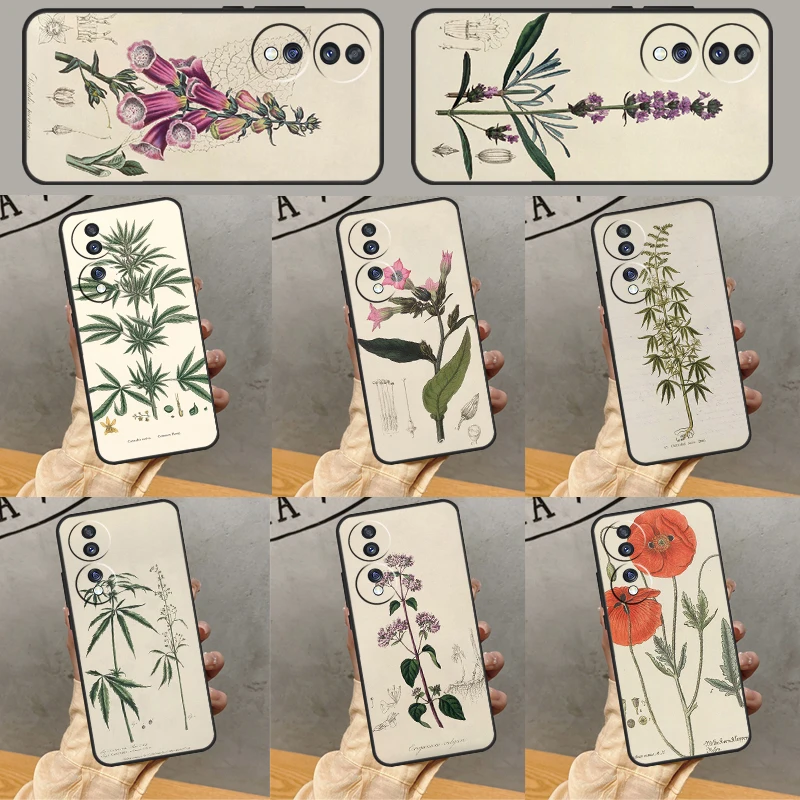 Botanical Drawings Flowers Phone Case For Honor X8a X9a X7a X6 X7 X8 X9 8X 9X Magic 5 4 Lite 10 50 70 90 Lite Cover