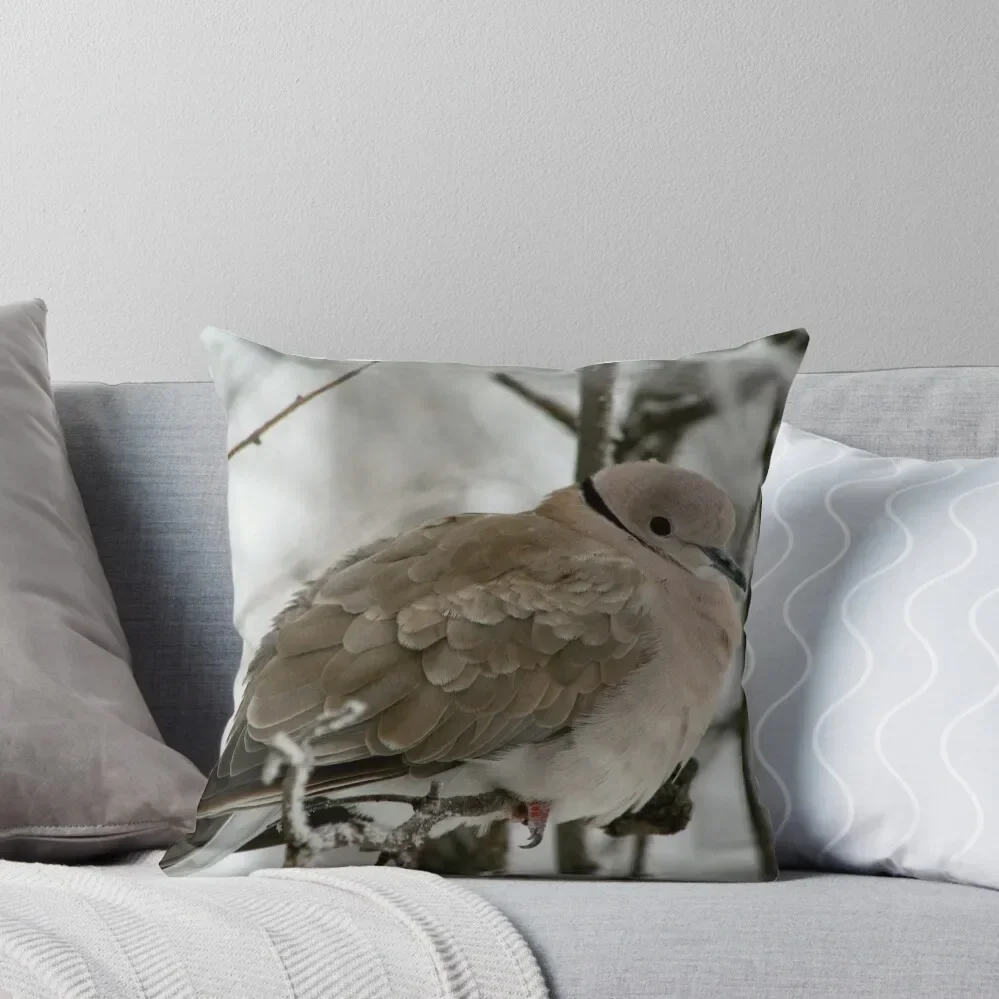 

Eurasian Collared Dove Throw Pillow Sofa Covers christmas supplies Pillow