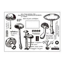 Mushroom Transparent Clear Stamps for DIY Scrapbooking/Card Making Fun Decoration Supplies  A0011