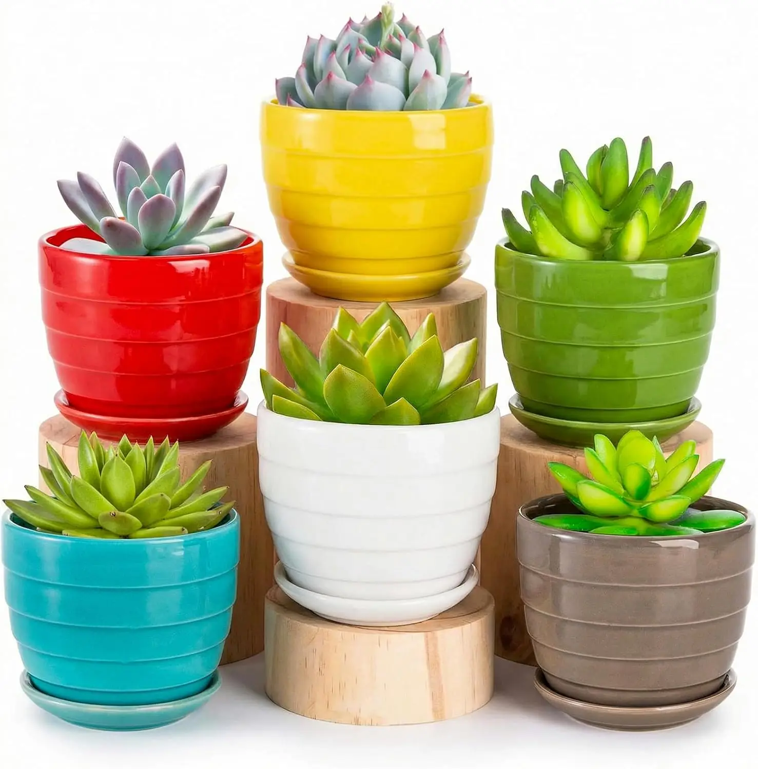 

6 Pack 4.3 Inch Ceramic Succulent Pots with Drainage and Attached Saucer, Small Decorative Succulent Planter Cute Cerami