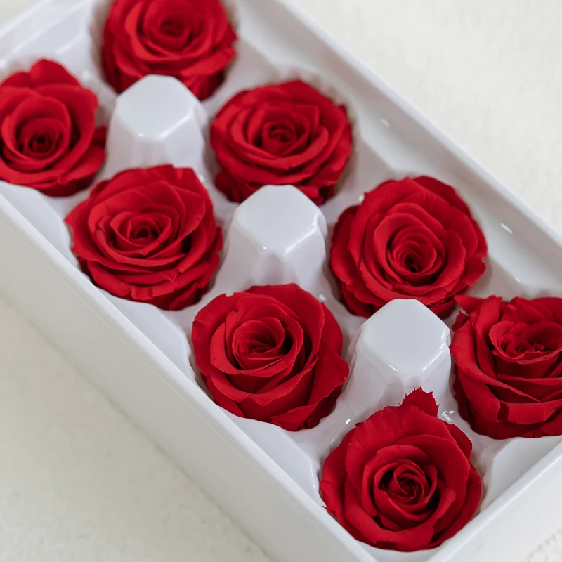 8PCs/Box Preserved Natural Rose Head Fresh Real Rose Flowers  4-5CM for Teddy Bear Handmade DIY Eternal Flower Arrangement Gift