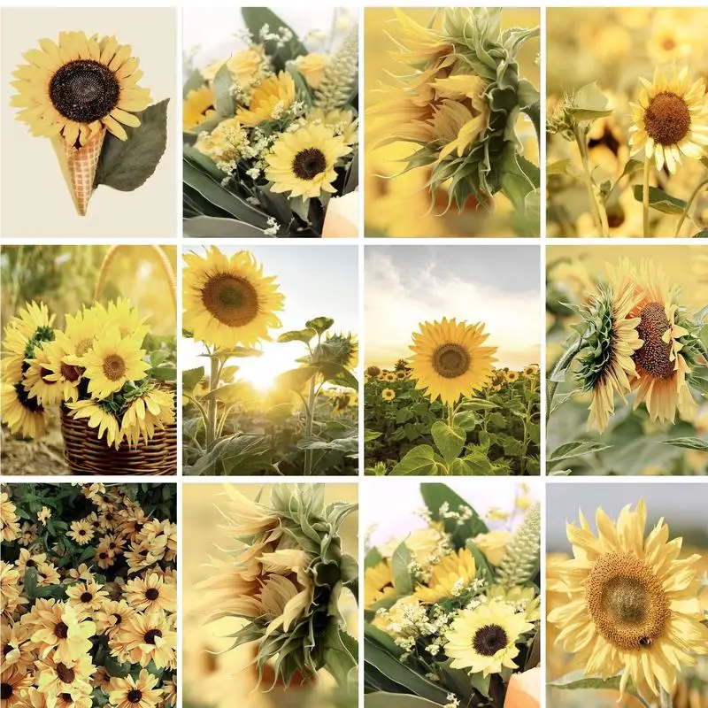 

GATYZTORY Classical Painting By Numbers Sunflowers For Adults Home Decors Diy Gift On Canvas Picture Coloring Artwork Handicraft