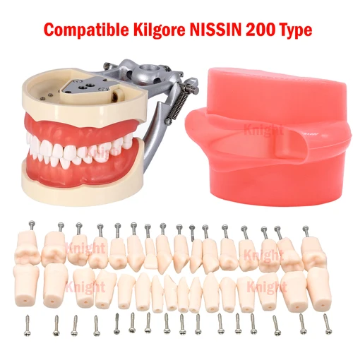 Imagen 2 del producto Modelos de dientes dentales de resina de imitación, 32 piezas, para entrenamiento de enseñanza de odontología, compatibles con NISSIN 200, dientes de repuesto