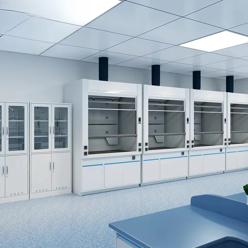 

Modern Steel Epoxy Resin Benchtop Fume Hood High Quality Chemical Resistant Fume Cupboard Lab Furniture For Schools Hospitals