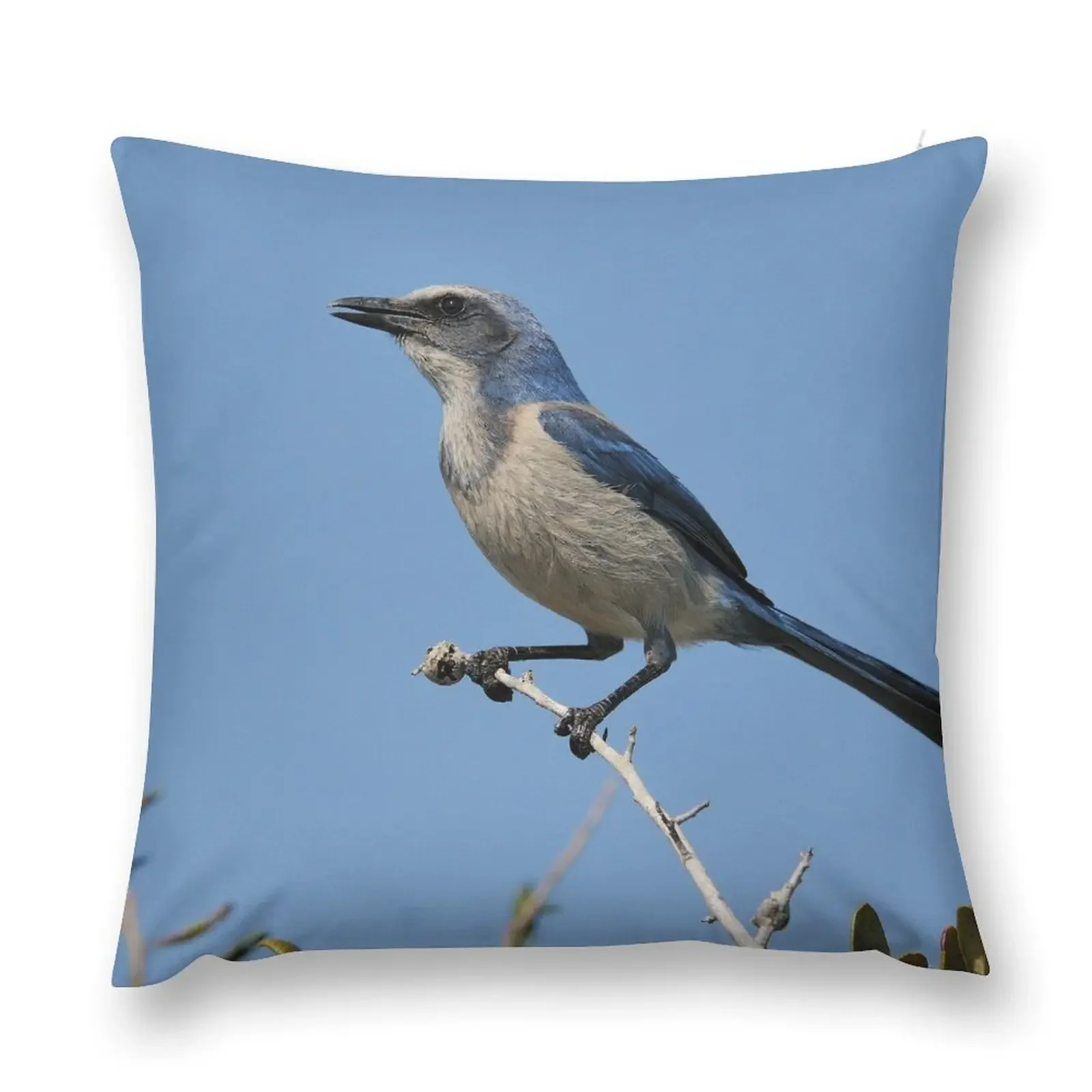 Just Looking Around- Florida Scrub-jay Throw Pillow Luxury Sofa Cushions christmas decorations 2025 sleeping pillows pillow