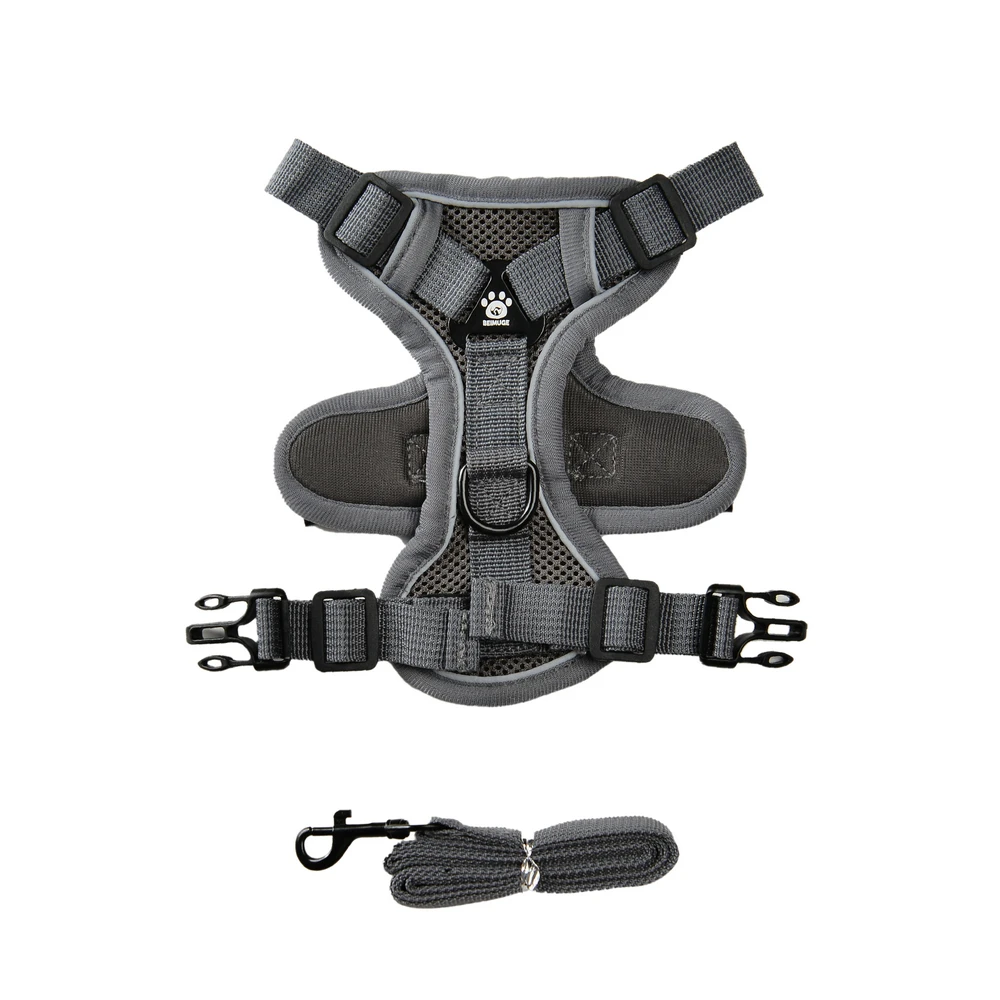 Thumbnail 2 - #21 Best Puppy Harnesses to Buy In 2026