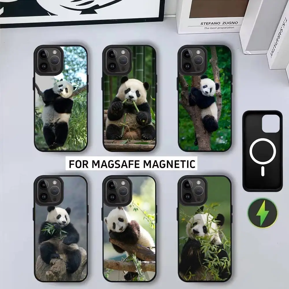 

P-Panda photo Phone Case For iPhone17,16,15,14,13,12,11 Plus,Pro Max Magnetic with Magsafe Wireless Charging