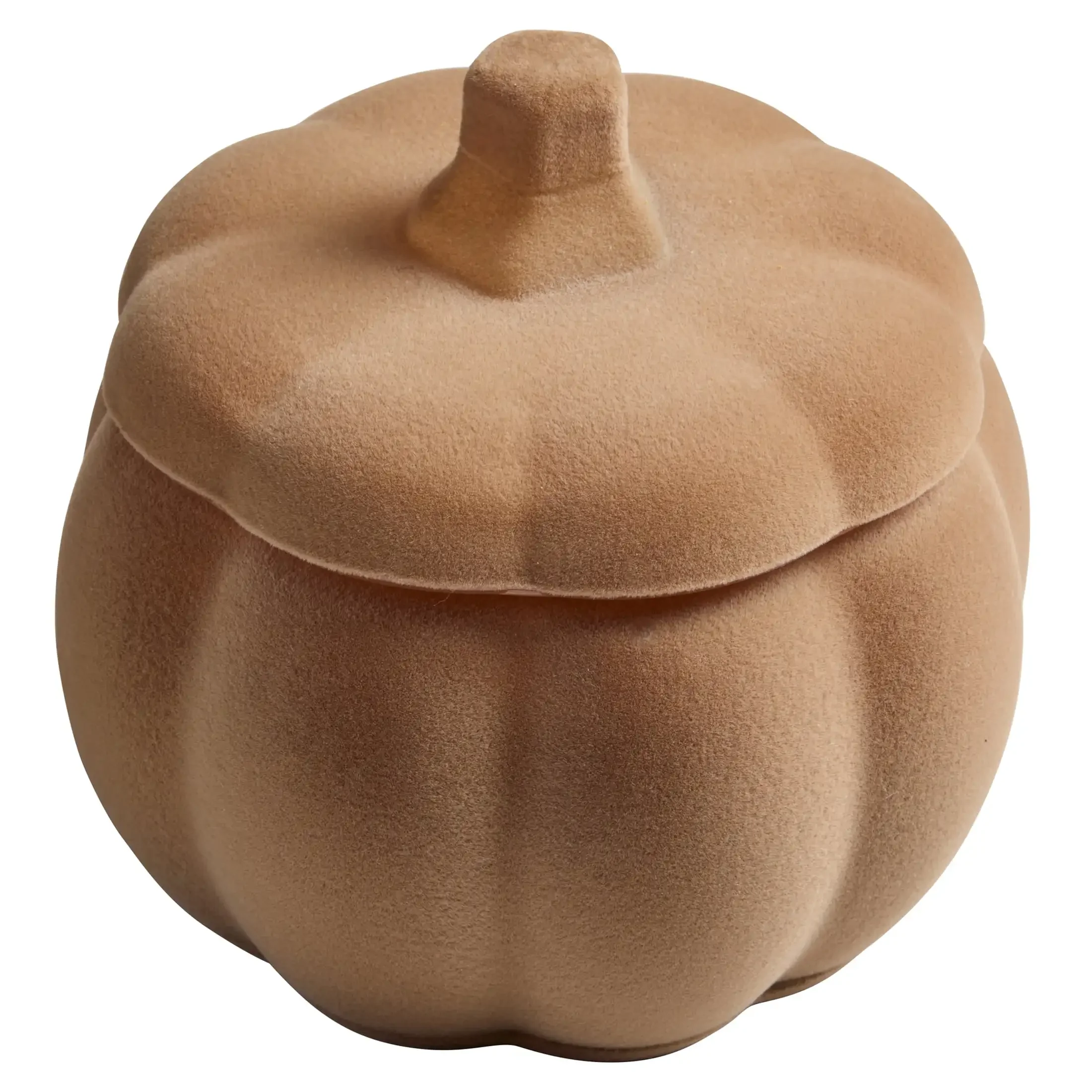 Flocked Pumpkin Jar Candle, Pumpkin Snickerdoodle Swirl Scent, 2-Wick, 12.7 oz