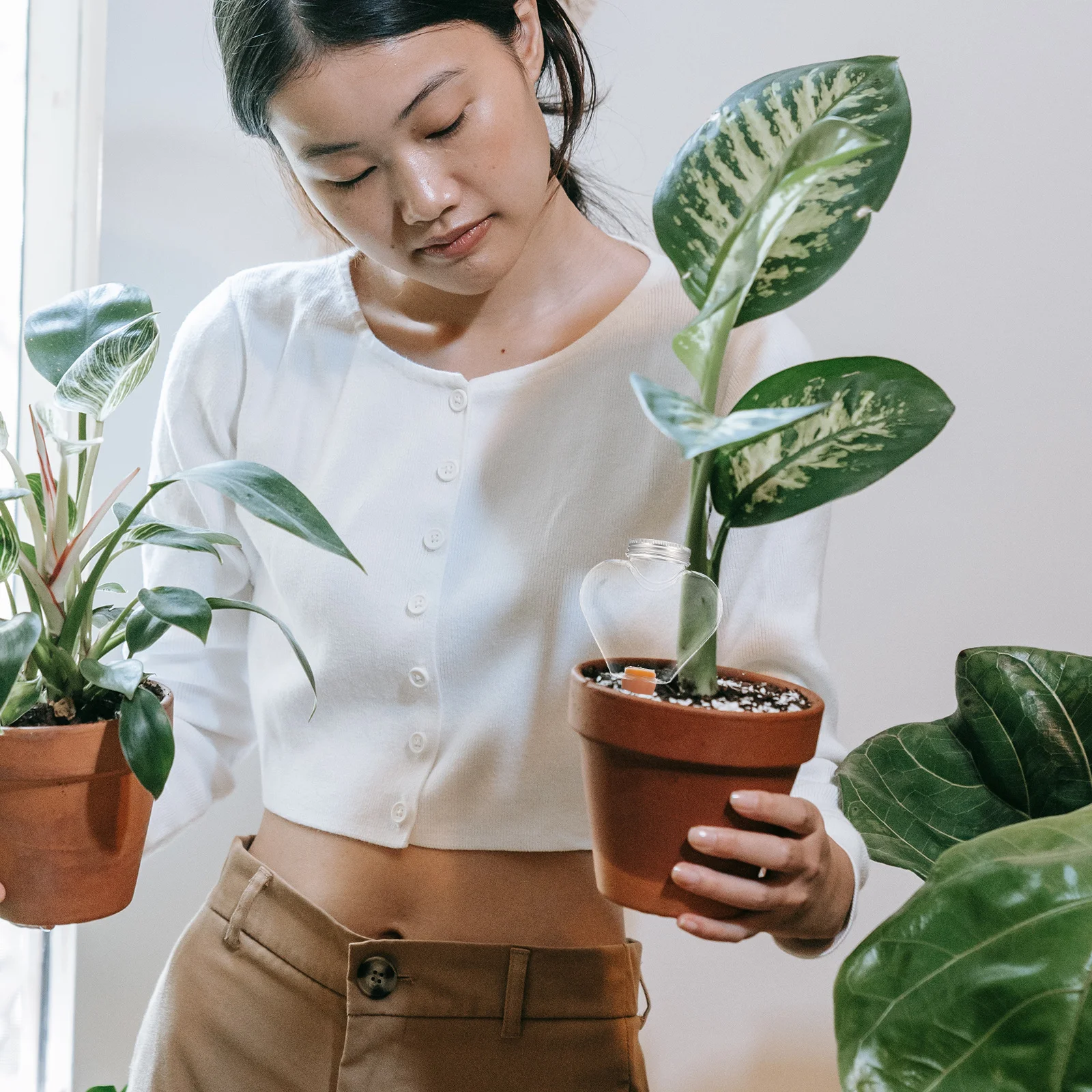 التلقائي زهرة سقي لمبة الكرة شكل أداة سقي الذاتي للعائلة شرفة فناء الدفيئة استخدام كرات سقي النباتات #2