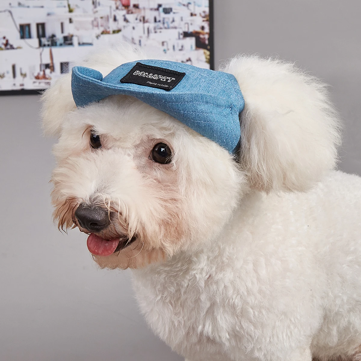 Dog Hat Dog Sun Hat Summer Pet Baseball Cap Adjustable Breathable Design UV Protection Outdoor All Season