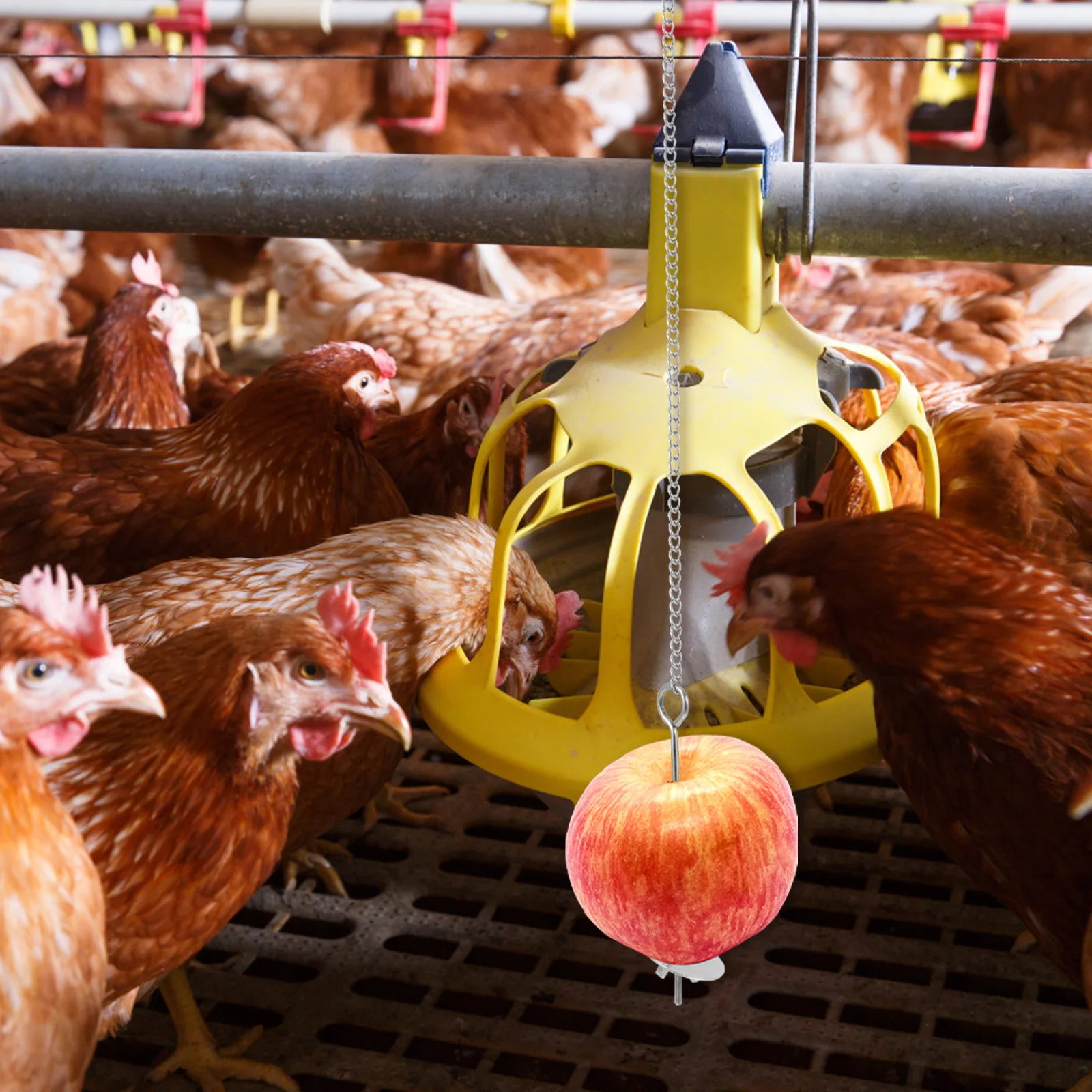 

1pc Hanging Chicken Feeder Stainless Steel Portable Outdoor Feeding Tool For Fruits Vegetables Chickens Food Holder Feed Trough