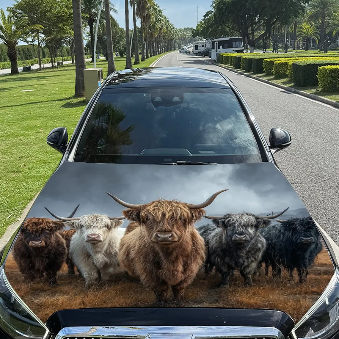 

Highland Cattle Car Hood Sticker-waterproof And Scratch Resistant PVC Car Sticker, Suitable For Cars, Trucks, And SUVs-easy To I