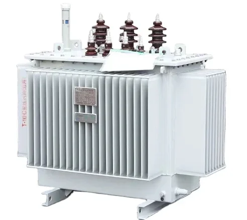 Electric Electricity Distribution Transformer 100kva Three Phase Transformer S11 Oil-immersed Transformer Power TOROIDAL 50/60hz