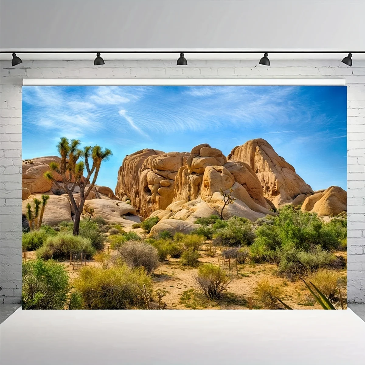 Arid cactus, sandstone rock climate, mountain range and desert scenery background, desert terrace background