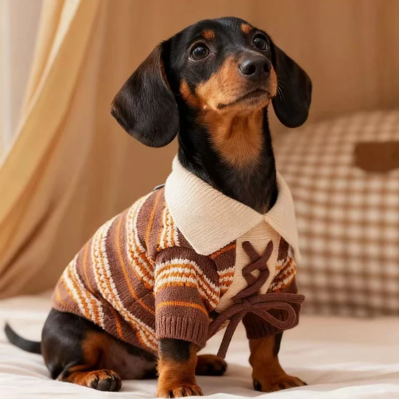 Chaqueta cárdigan con solapa, suéter de punto para perros Wiener, abrigo cálido de invierno de manga larga para perros pequeños y medianos, ropa para mascotas