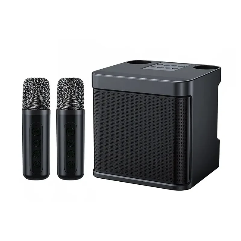 Microfono portatile Wireless ad alta potenza da 10W suono Bluetooth Outdoor Family Party Karaoke Subwoofer Boom Box doppio microfono