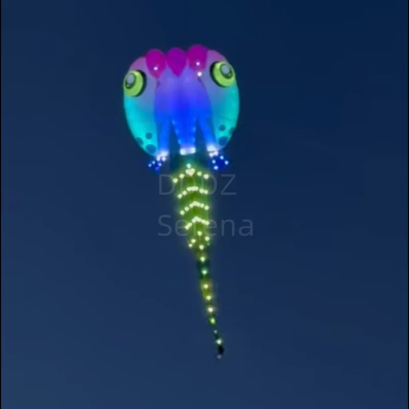 

DDDZ MLS 8/13 Square LED Tadpole Kite 30D Ripstop Nylon Inflatable Pilot Lifter Kite Flat Tail Show Kite great in day and night