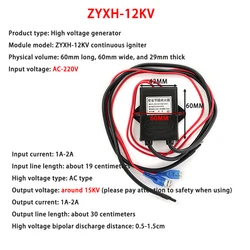 AC 220V High Voltage Generator Module Continuous Igniter Pulse Generator Inverter 12KV High Voltage Igniter Voltage Generator