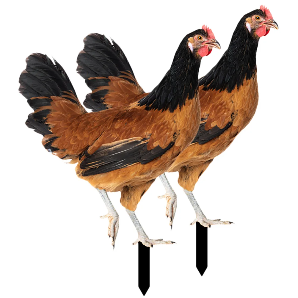 

2pcs Acrylic Garden Chicken Decoration Stakes Realistic Shape Lightweight Yard Ornaments Outdoor Decor Hen Insert Artgarden