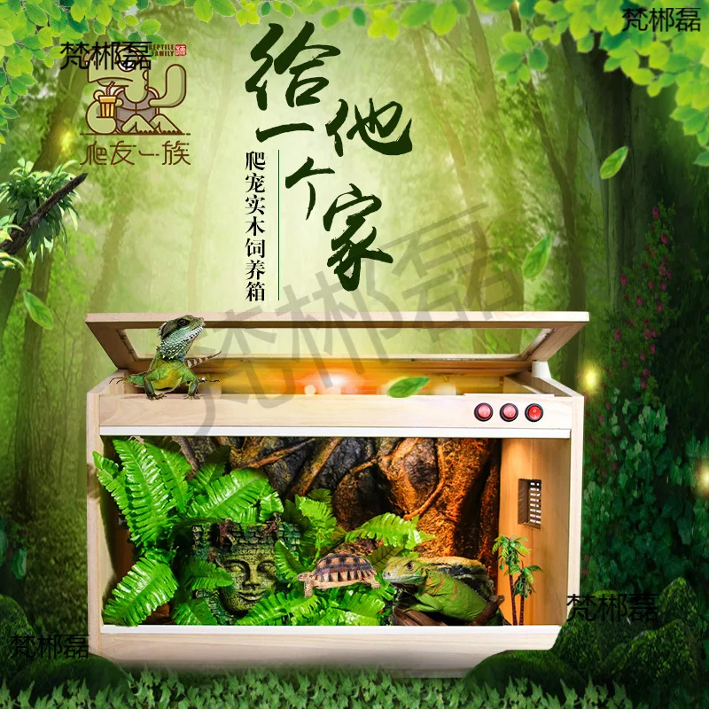 Tortoise lizard palace guardian chick parrot hedgehog hermit crab hamster snake climbing pet reptile horned frog snake incubator