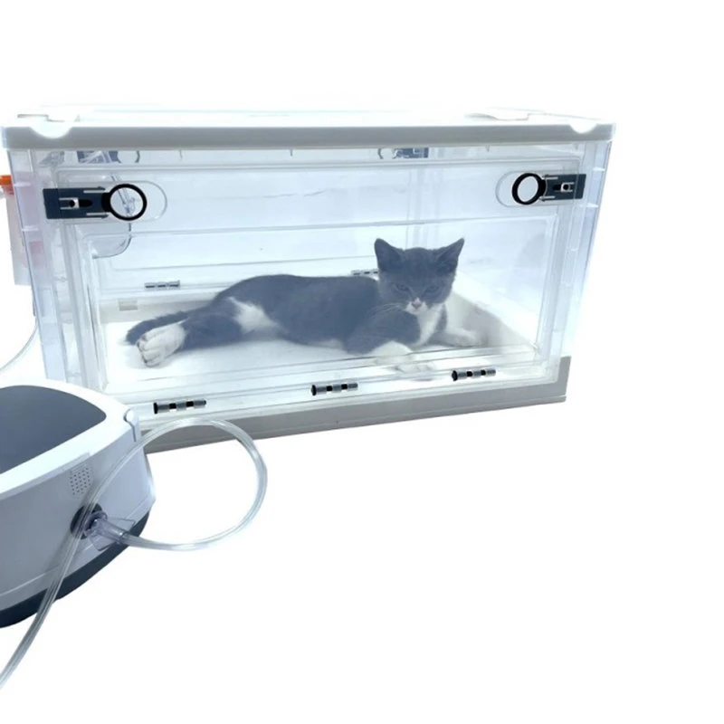 

Household Pets Care Room Portable Dog Atomization Cage Breathable Cat Special Oxygen Box Pet Shop Training Treatment Products