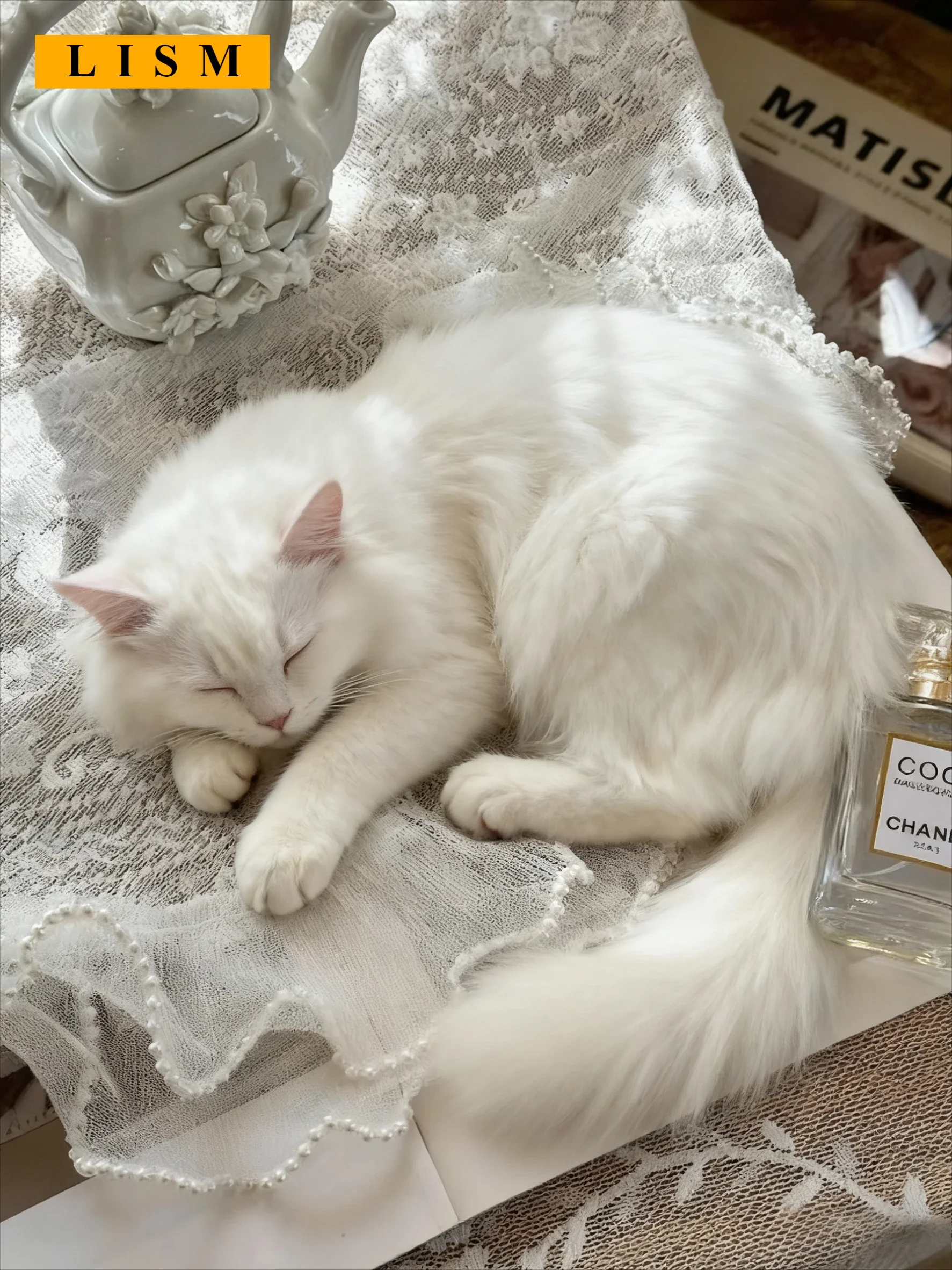 

French Romantic Lace Curtains Arched Door Rod Pocket Curtain Head Small Window Decor Half Short Curtain Pearl White Tulle Custom