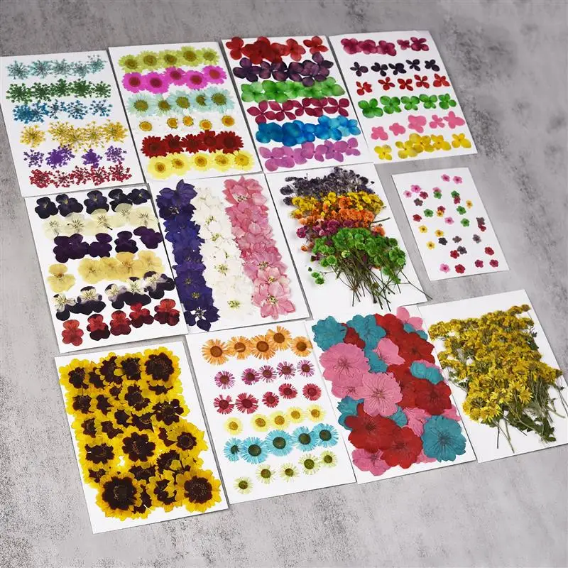 Dried Flowers For DIY Art Craft Epoxy Resin Candle Making Eternal Flowers Bookmarks Pressed Flowers Home Decor Handicraft