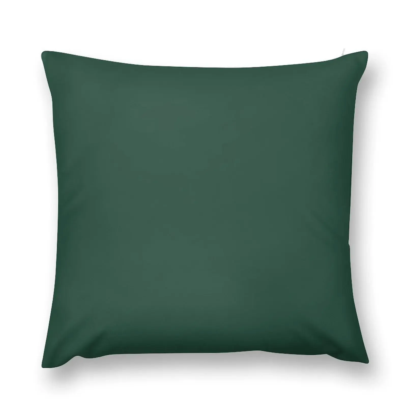 Dark Emerald Green - Lowest Price On Site - Accent Color Decor Throw Pillow Anime autumn decoration pillow