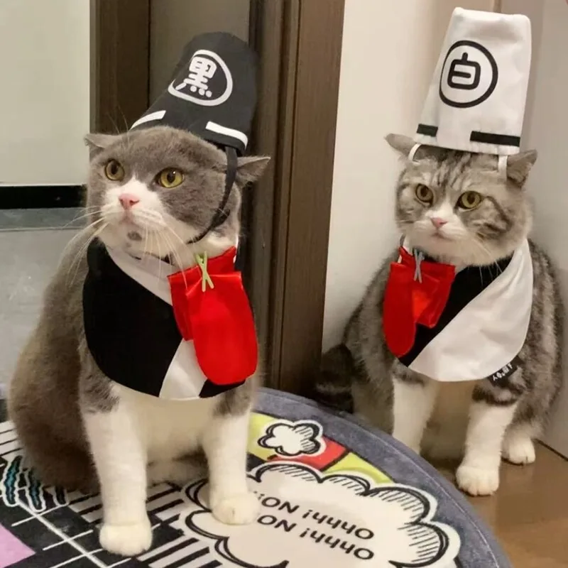 Funny Pet Cosplay Black White Impermanence Hat Scarf Halloween Cat Outfit Hilarious Photo Prop Dress Up Accessory Set for Pets