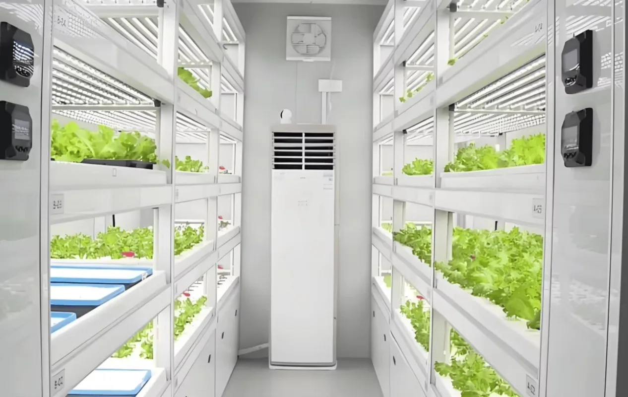 Serra agricola per contenitori per piante con sistema di coltivazione microgreen commerciale per coltura idroponica per interni