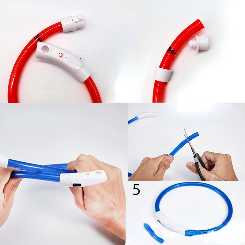 Luminous Pet Collar 3