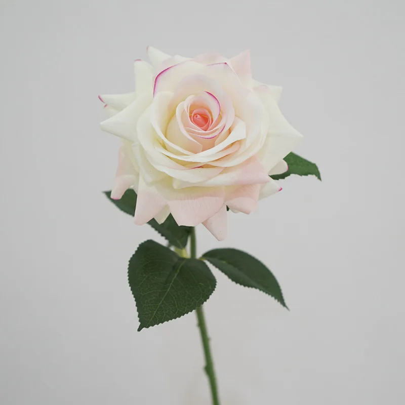 65cm 5pcs Real Touch Artificial Rose Single Stem, Moisturizing Faux Rose for Home Living Room Table Wedding Floral Arrangement