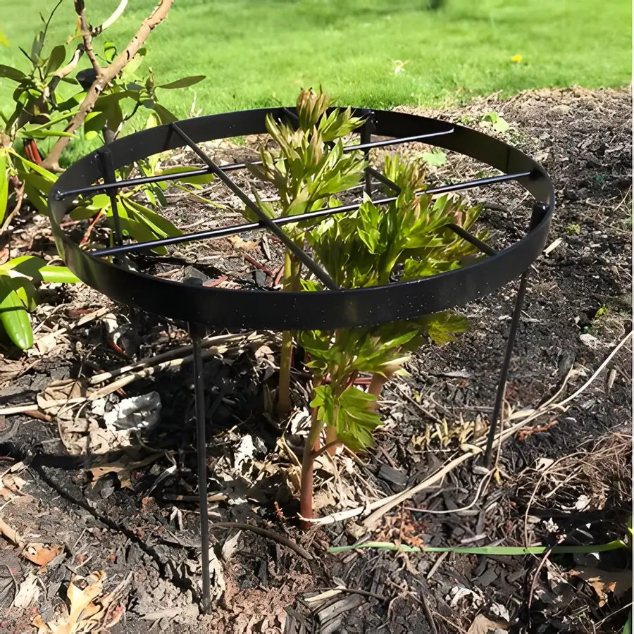 

Peony Cages and Supports 18.9x23.6 Durable Round Garden Flower Rings Tall Plant Support Stakes for Outdoor Peonies Enhances Peon