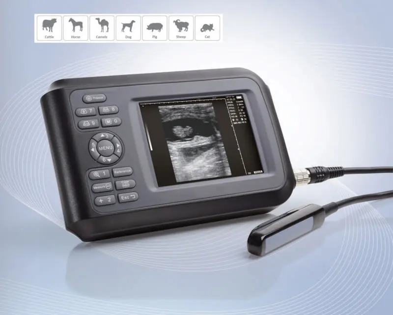 Veterinary ultrasound Scanner portable ultrasound V7