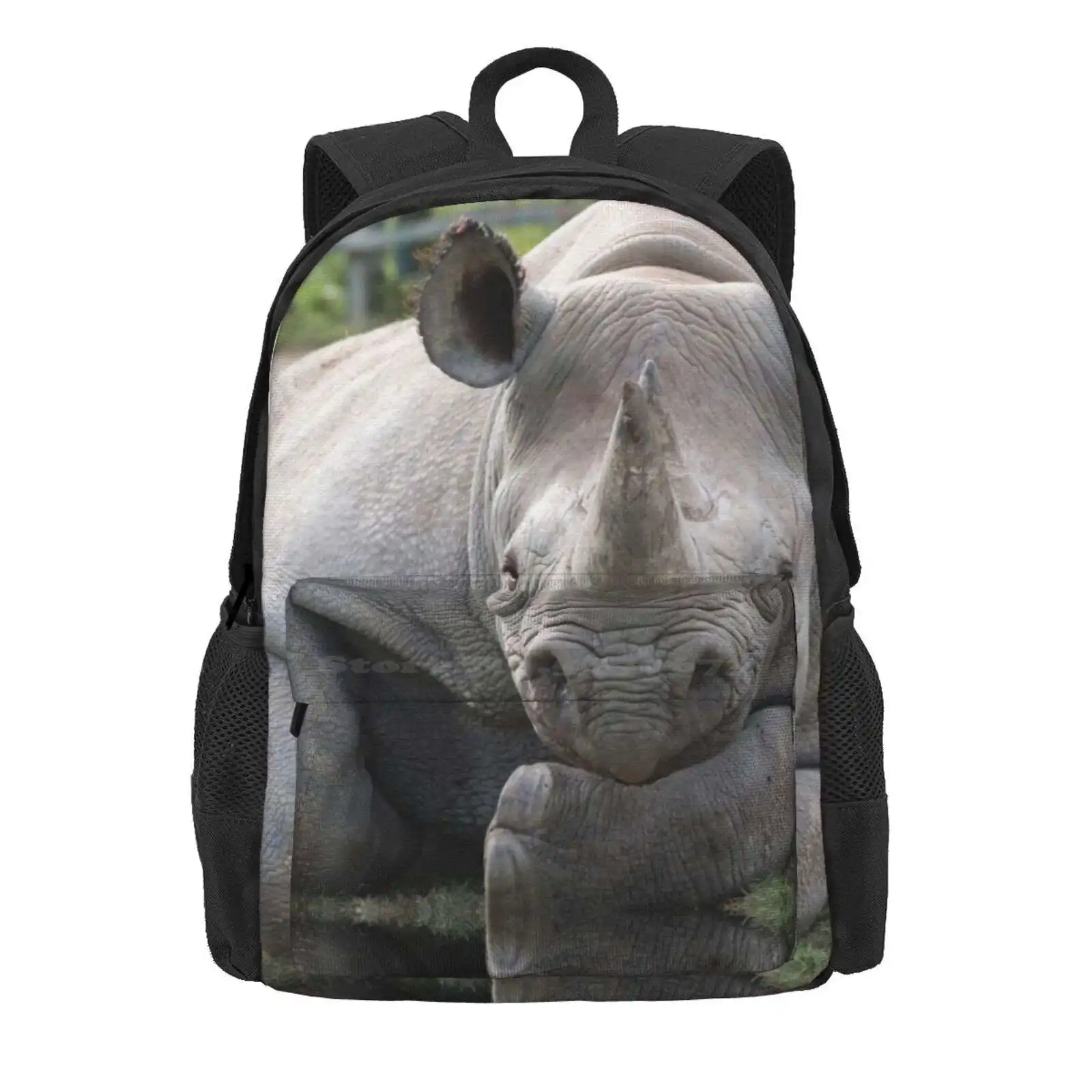 Rhino Looking Relaxed With Head Resting On Forearm. Hot Sale Schoolbag Backpack Fashion Bags Anti Poaching Ashford Big 5 Big