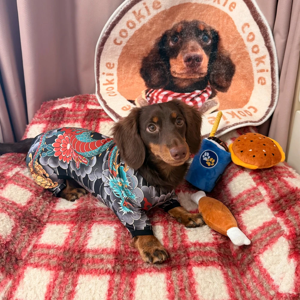 Traje ligero repelente de insectos para perro teckel, cubre vientre - imagen 3