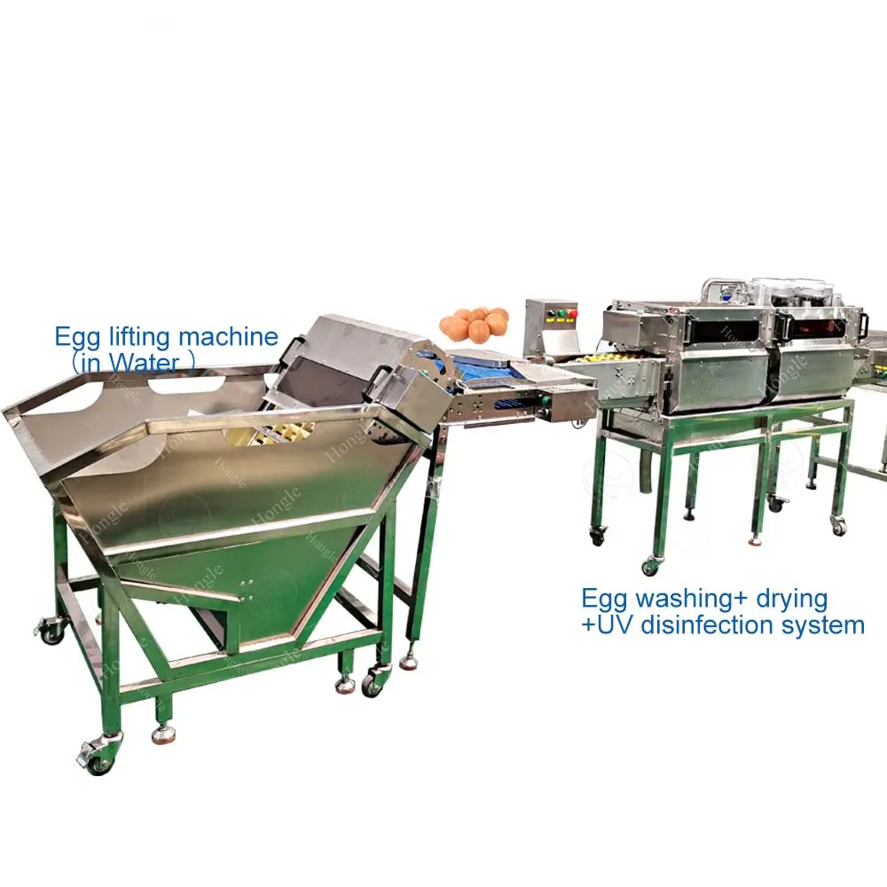 فرشاة تجارية من الفولاذ المقاوم للصدأ، مجفف غسيل البيض، غسالة بيض أوتوماتيكية #1