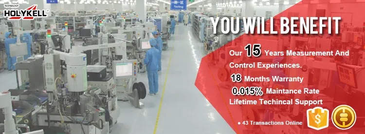 Holykell OEM Einweg-Temperaturdatenlogger PID-Temperaturregler