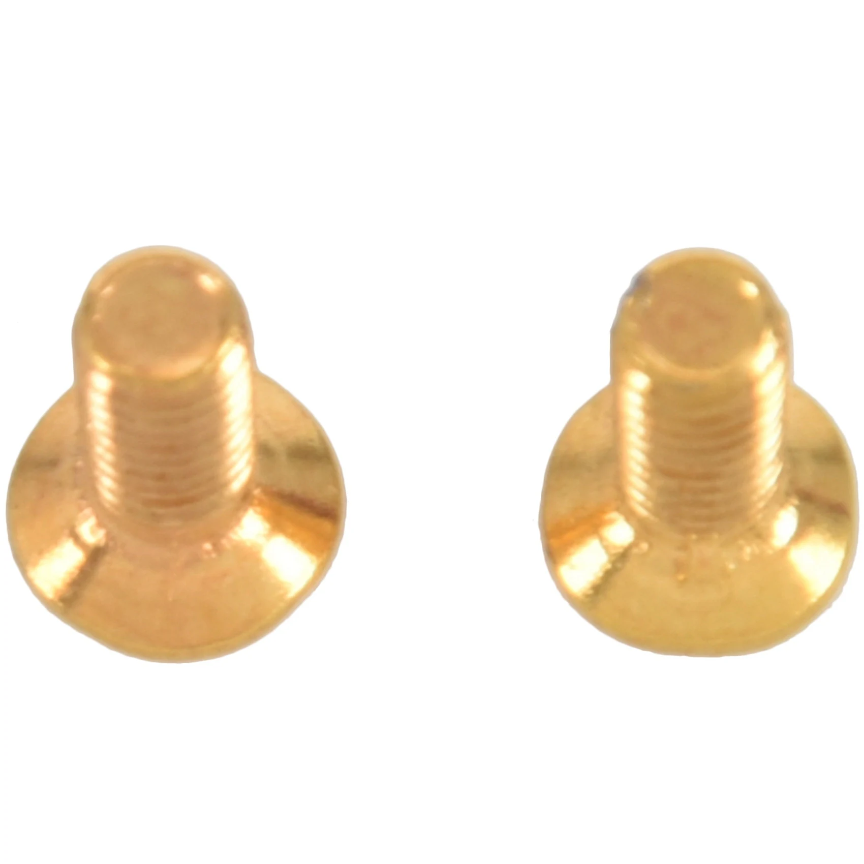 CGDS-Pickguard Bracket Mounting Screws For Les Paul Electric Guitar Repalcement( Pack Of 10) (Gold)
