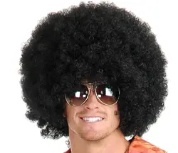 Afro Wig Bob Ross Style Glueless Wigs Synthetic Men Wig, Unisex, Men, Women, Anime Cosplay, Halloween Wigs for Party - Black